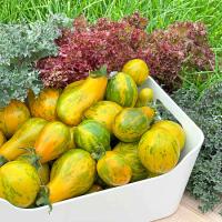 klwopojmbtyph85oqp8w4sa31fg0ri1m