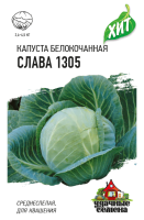 Слава 1305