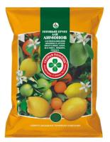 photo_5255838213141025992_y