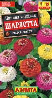 Цинния Шарлотта аэлита