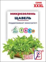 щавель сембат большой