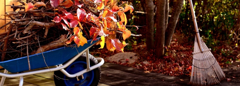  Осенние работы в саду и огороде. ОКТЯБРЬ