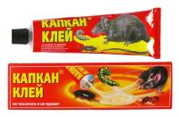 IMG-4447