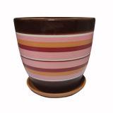 саксония бордо