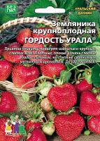 zemlyanika-krupnoplodnaya-gordost-urala