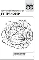 трансфер б.п