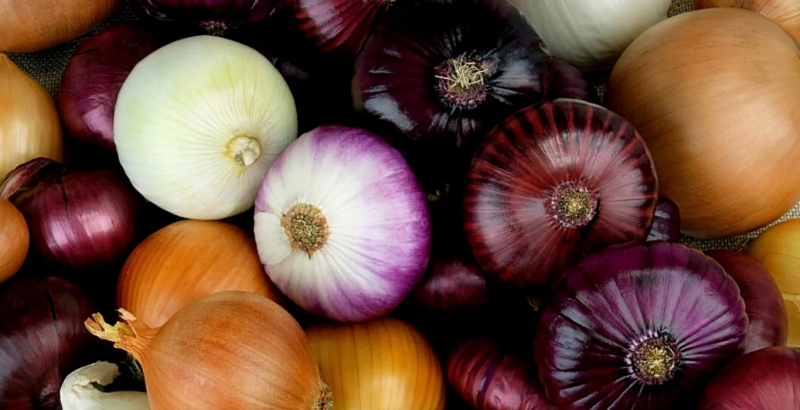 СЕКРЕТЫ ПОСАДКИ ЛУКА И ЧЕСНОКА ПОД ЗИМУ