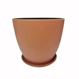 спектр роз шуб