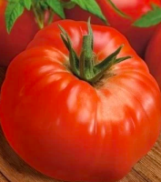 жимолостный