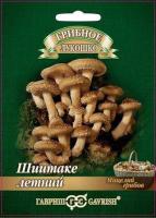 337adxoxv4tglh5speoe3zssa5cgrylq