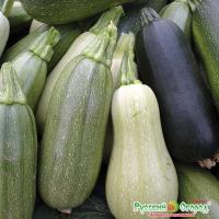 6c47046d0893249344dbcbd35e4f44a4