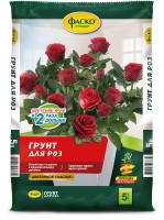 розы счастье