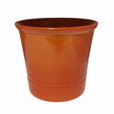 ред оранж927