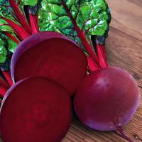 gjpbez6u85o3ya69ur8etj1981mf04ch