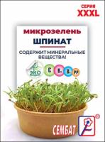 шпинат сембат