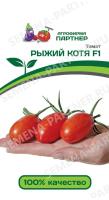 рыжий котя