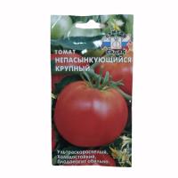 томат непасынкующийся крупный седек