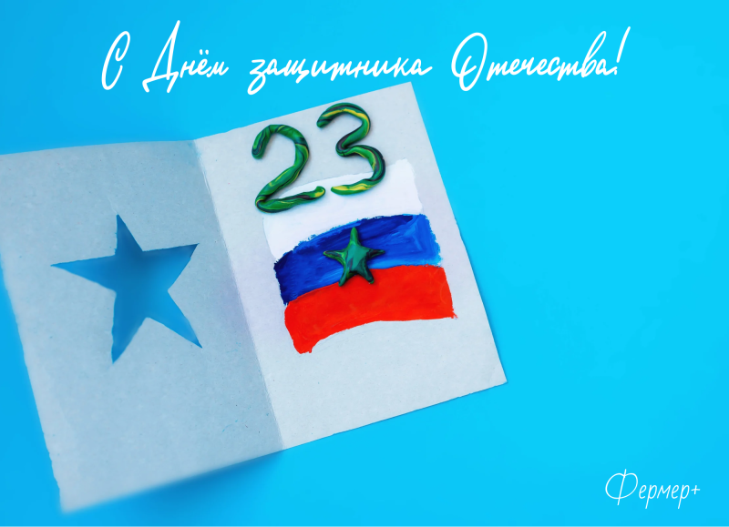 С Днём защитника Отечества!