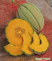 893c93c82bfd9fdab5bbc5ad438ec0f1