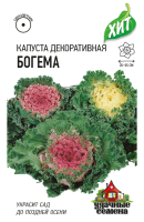 Капуста декоративная Богема гавриш