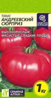 IMG-1535