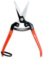 b682f91d138b11e7aa2f0cc47a0076bf_696a50a0234411e980d50cc47a0076bf.300x300