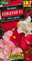 Бегония Сенатор F1 смесь аэлита