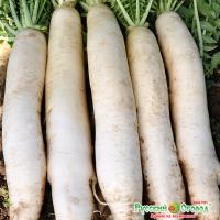 9a89ff71fadec5df1d0c14d234a4a899