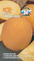 дыня ананасная