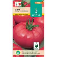 Гигант Новикова