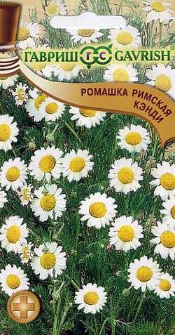 1979