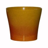 коктейль гелб