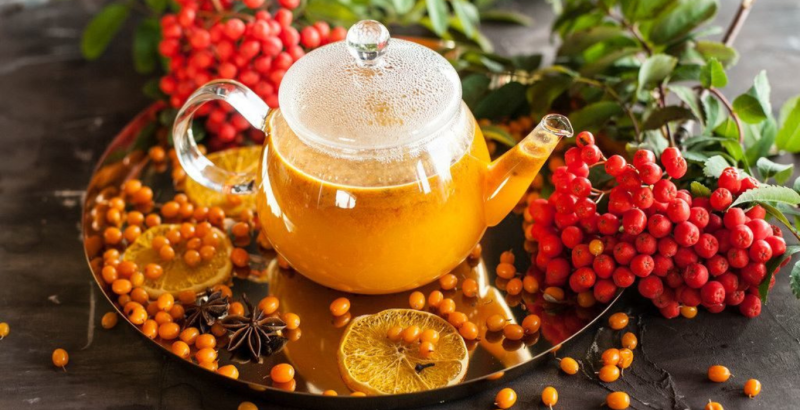 ОБЛЕПИХА И ЕЕ ПОЛЕЗНЫЕ СВОЙСТВА, ПРОСТЫЕ РЕЦЕПТЫ