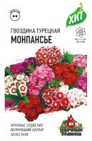 гвоздика монпансье гавриш