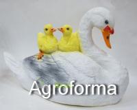 лебедь с птенцами