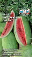arbuz_medovyy_gigant