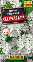 Вербена Сахарная вата аэлита