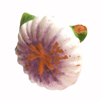 цепл цветок