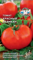 tomat_krasnyy_velikan