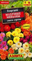 Георгина Махровые миньоны аэлита
