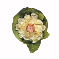 цветь солныш