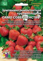 zemlyanika-remontantnaya-krupnoplodnaya-samo-sovershenstvo