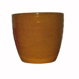 варм елолоу