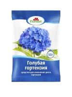 Голубая гортензия Florizel