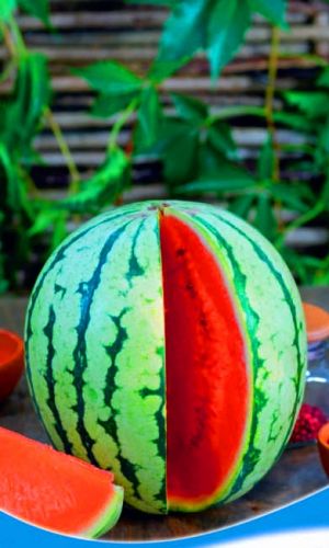 arbuz-krasnaya-zvezda