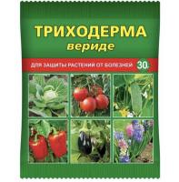IMG-9813