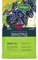 IMG-4654