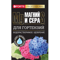 BF_vert_2022_hortenzii_MS_k__________________-min