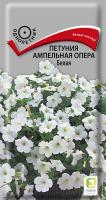 амп