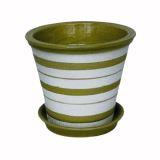 полоска зел